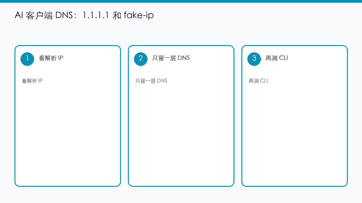 示意图:系统 DNS 与 Clash fake-ip 不要叠